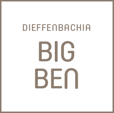 Big Ben