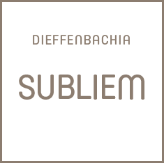 Subliem